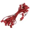 Vickerman Christmas Light String Set (36035)